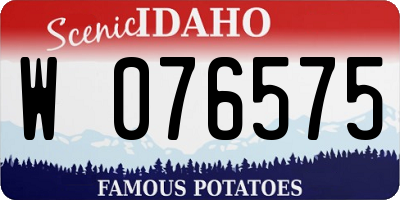 ID license plate W076575