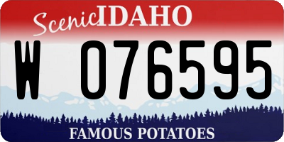 ID license plate W076595