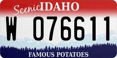 ID license plate W076611