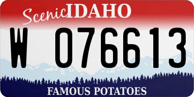 ID license plate W076613