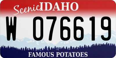 ID license plate W076619