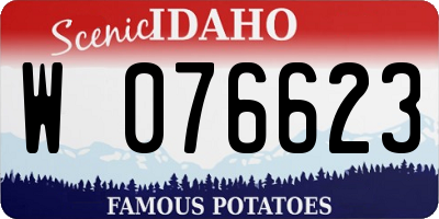 ID license plate W076623