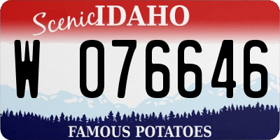 ID license plate W076646