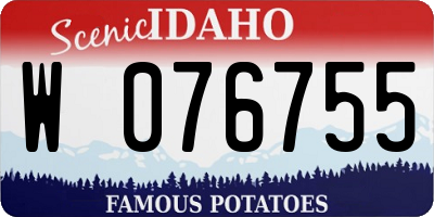 ID license plate W076755