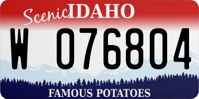 ID license plate W076804