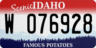 ID license plate W076928