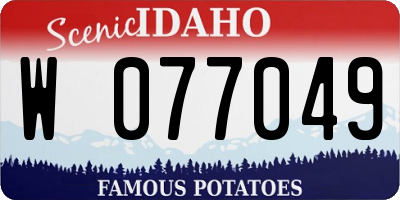 ID license plate W077049