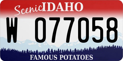 ID license plate W077058
