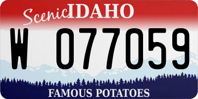 ID license plate W077059
