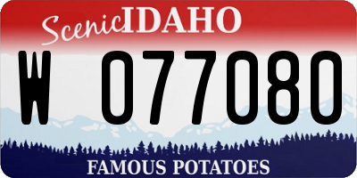 ID license plate W077080