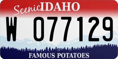 ID license plate W077129