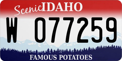 ID license plate W077259