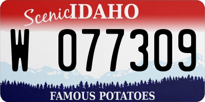ID license plate W077309