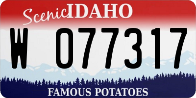 ID license plate W077317
