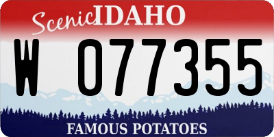 ID license plate W077355