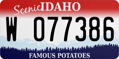 ID license plate W077386