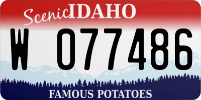 ID license plate W077486