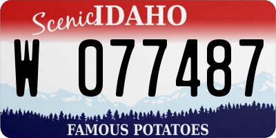 ID license plate W077487