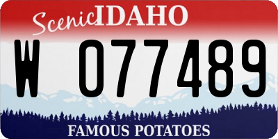 ID license plate W077489