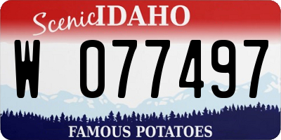 ID license plate W077497
