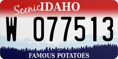 ID license plate W077513