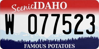 ID license plate W077523
