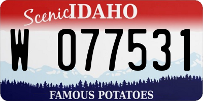 ID license plate W077531