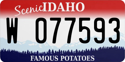 ID license plate W077593