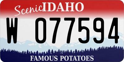 ID license plate W077594