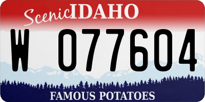 ID license plate W077604