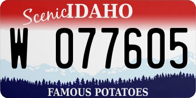ID license plate W077605