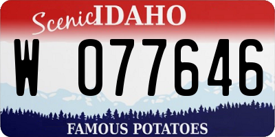 ID license plate W077646