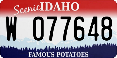 ID license plate W077648