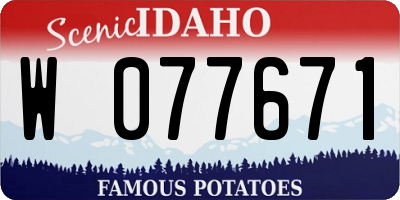 ID license plate W077671