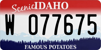 ID license plate W077675