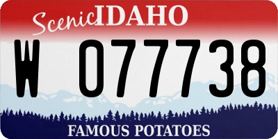 ID license plate W077738