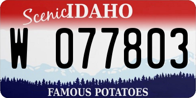 ID license plate W077803