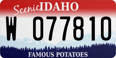 ID license plate W077810