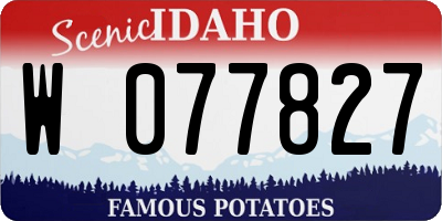 ID license plate W077827