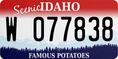 ID license plate W077838