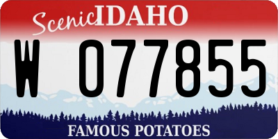ID license plate W077855