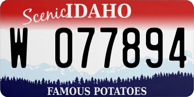 ID license plate W077894