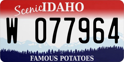 ID license plate W077964
