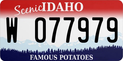 ID license plate W077979