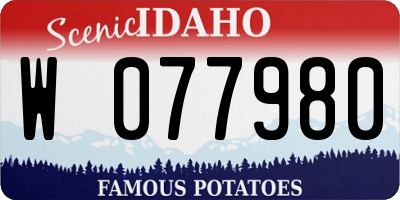 ID license plate W077980