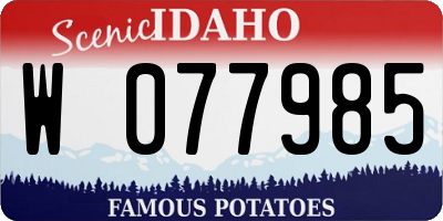 ID license plate W077985