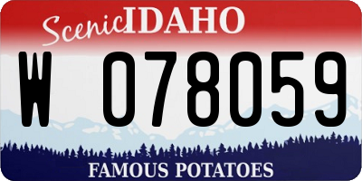ID license plate W078059
