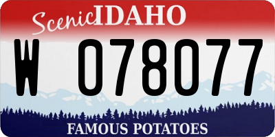 ID license plate W078077