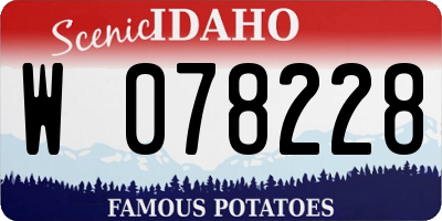 ID license plate W078228