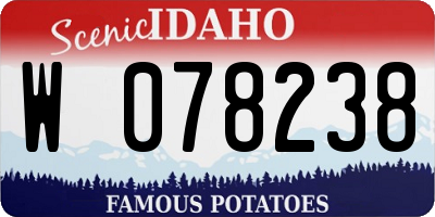 ID license plate W078238